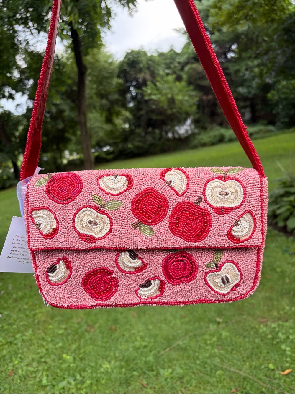 NWT Viral Beaded Apple Bag Pink and Red